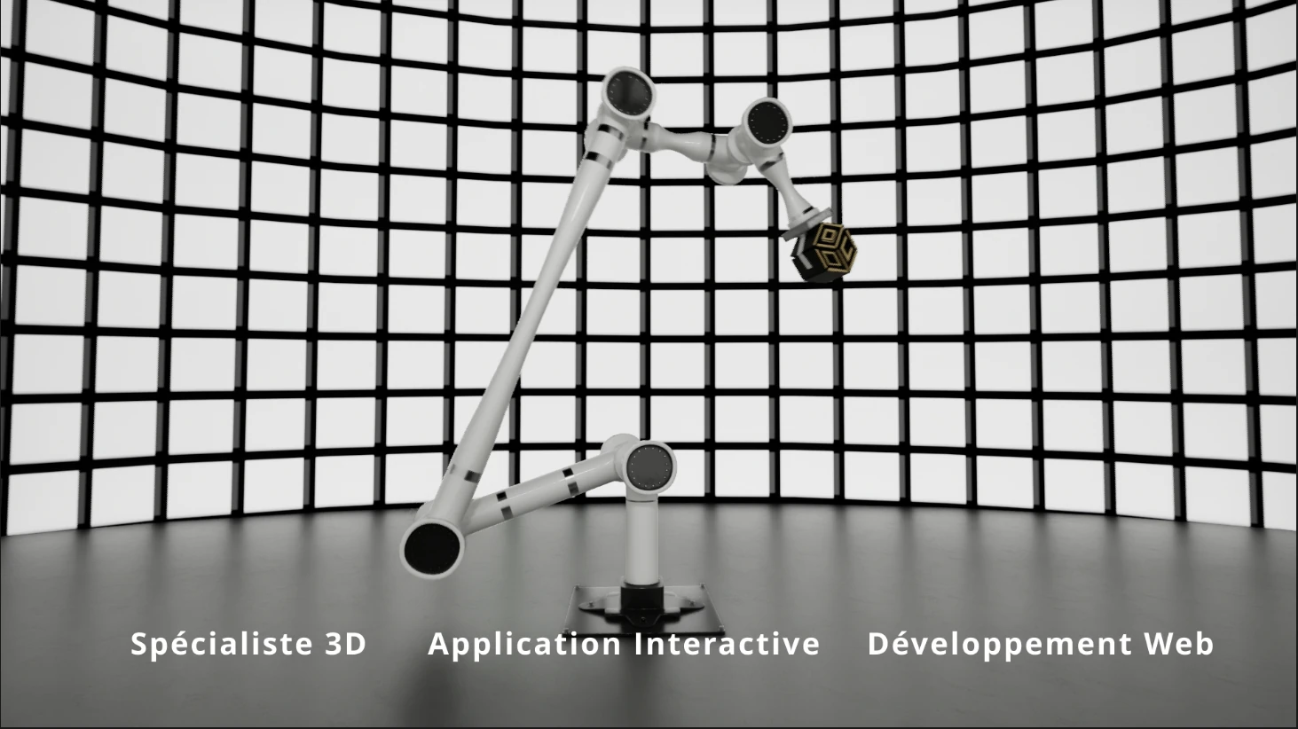 Image d'introduction du showreel